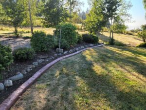 Stamped curbing to separate lawn from rock garden.