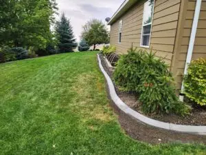 Nice curbing job to finish back yard landscaping